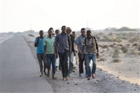 الهجرة الدولية: وصول 7 آلاف مهاجر إفريقي إلى اليمن منذ بدء العام الجاري