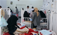 Yemen’de domuz gribi can almaya devam ediyor