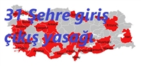 Türkiye’de 31 Şehre araç giriş çıkış yasağı