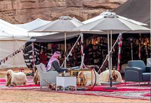 Prens Selman Davos’a sahrada kurduğu çadırdan katıldı