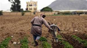 Almanya’dan Yemen tarımın 18 milyon avro destek