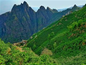 مساحات خضراء تنتشر لأبعد ما تصل إليه عيناك.. جبل بُرع بقايا غابات شبه استوائية في اليمن