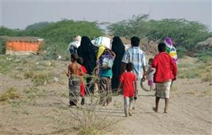 الهجرة الدولية : نزوح 300 أسرة خلال أقل من اسبوع