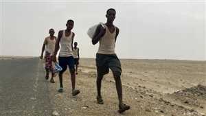 اليمن يستقبل أكثر من 14 ألف مهاجر إفريقي خلال شهرين