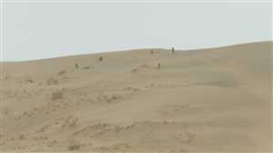 تمهيداً لتحرير الجوبة.. الجيش الوطني يواصل الهجوم على مواقع الحوثيين في "العكد الرملي" ويتقدم 10 كيلومترات
