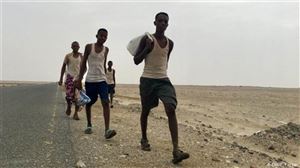 الهجرة الدولية تعلن أعاد 126 مهاجراً إثيوبياً من اليمن إلى بلادهم