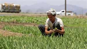 من حمل الفأس والبذور إلى حمل السلاح والرصاص.. مليشيات الحوثي تجند المزارعين في حربها العبثية