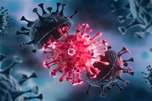 منظمة الصحة العالمية تبشر بقرب نهاية فيروس كورونا