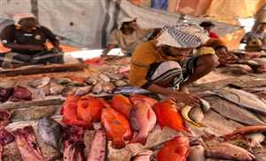 صحفي: الإمارات تجرف مئات الأطنان من أسماك أرخبيل سقطرى ولا وجود للدولة اليمنية