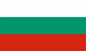 بلغاريا تدين الهجوم الحوثي الارهابي على ميناء الضبة