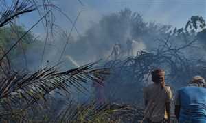 Yemen’de hurma çiftliğinde çıkan yangın söndürüldü