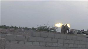 القوات المشتركة تستهدف مواقع الحوثيين جنوب الحديدة