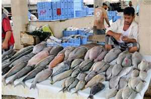 El Alimi, balık ve deniz ürünlerinin fiyatlarını kontrol altına almak için bir komisyon oluşturacak