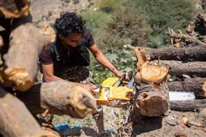 Odun, gaz krizinin yaşandığı Yemen’de alternatif yakıt olarak kullanılıyor
