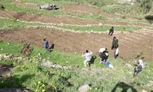 وفاة وإصابة 13 مواطنا بحادثة انقلاب سيارة في ريمة