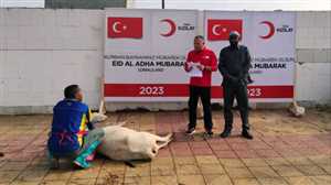 الهلال الأحمر التركي يوزع لحوم الأضاحي على 1350 أسرة يمنية