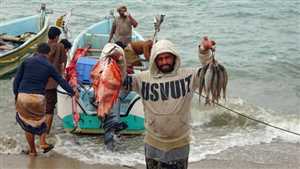 أبين.. وفاة ثلاثة صيادين اثر غرق سفينة قبالة سواحل شقرة
