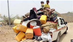 Uluslararası Göç Örgütü: Savaş milyonlarca Yemenliyi güvenlik arayışıyla kaçmaya itiyor