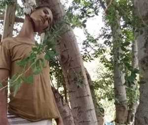 مواطنون يعثرون على فتى مشنوق على شجرة بمحافظة لحج