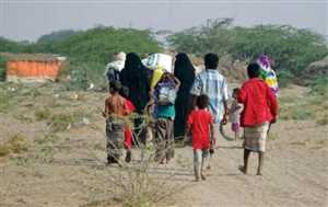 Uluslararası Göç Örgütü: Yemen’de 2023 yılı başından itibaren 27 bin kişi yerinden edildi