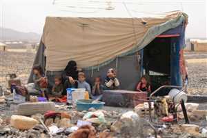 Uluslararası Göç Örgütü:  Geçen hafta 50 Yemenli aile yerinden edildi