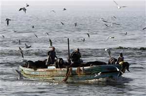 على متنه 34 صيادا.. مسلحون صوماليون يستولون على قارب صيد يمني بالقرب من "رأس حافون" بالصومال