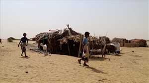 IOM: Bu yılın ilk haftasında 21 Yemenli aile yerinden edildi