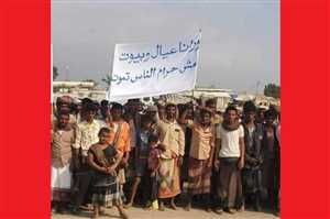 الحديدة.. المزارعون يطالبون الحكومة بإلغاء قرار وقف تصدير البصل