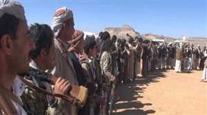 قبائل عنس تتداعى للرد على قتل الحوثيين أحد أبناءها