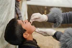 Yemeni Ministry of Health Announces Success of Cholera Vaccination Campaign