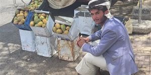 مليشيا الحوثي تصادر مصدر رزق "بائع البلس" في صنعاء الذي سبق و تعرض للسخرية من قبل ممثل حوثي قبل سنة