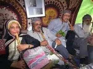 Yemeni Jews Defy Israel Over Qat Ban: “We’ll Return to Yemen Without It”