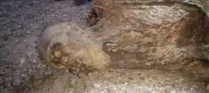 Shocking Discovery in Yemen Desert: Mummified Body Found During Illegal Gold Hunt