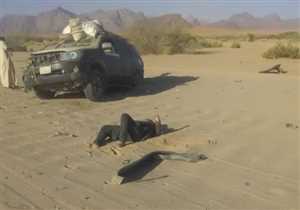 لغم حوثي يمزق أجساد أب وابنه في التحيتا