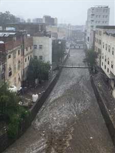 سيول جارفة تضرب تعز الآن.. أمطار غزيرة تغمر الشوارع وتحذيرات عاجلة من كارثة محتملة