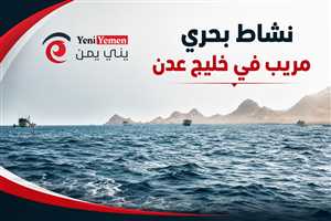 نشاط بحري مريب في خليج عدن.. تحذيرات من محاولات قرصنة جديدة قرب سقطرى
