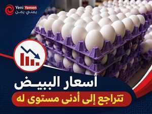 تراجع غير مسبوق لأسعار البيض في صنعاء وسط ركود اقتصادي وضعف القدرة الشرائية