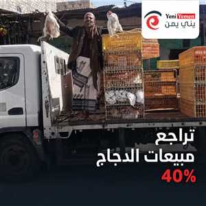 تراجع مبيعات الدجاج 40% في اليمن وسط انتشار «نظام الطيبات»