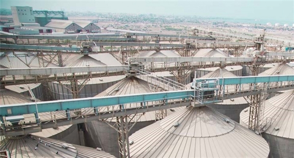 الأمم المتحدة: وصلنا إلى مخازن مطاحن البحر الأحمر في الحديدة