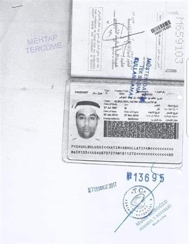 من هم الشباب الذين اعتدوا على تمثال "أتاتورك" في تركيا؟! الجالية المصرية ترد