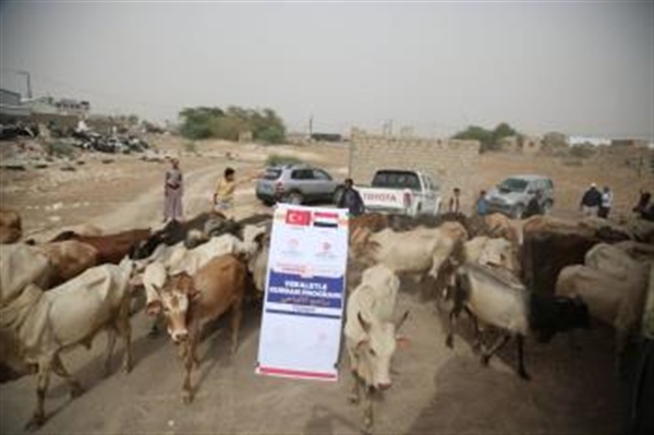 مؤسسة البادية تنفذ مشروع الأضاحي في خمس محافظات يمنية