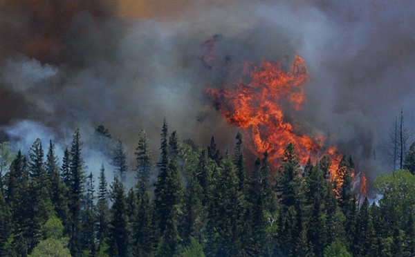 لبنان تستنجد بتركيا لإخماد حرائق الغابات الهائلة