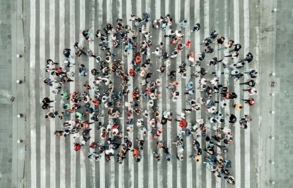 مَن راقب اللغة مات فضولاً!