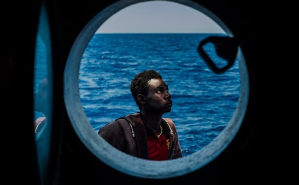 " من أفريقيا إلى اليمن " أكبر طريق هجرة بحرية في العالم