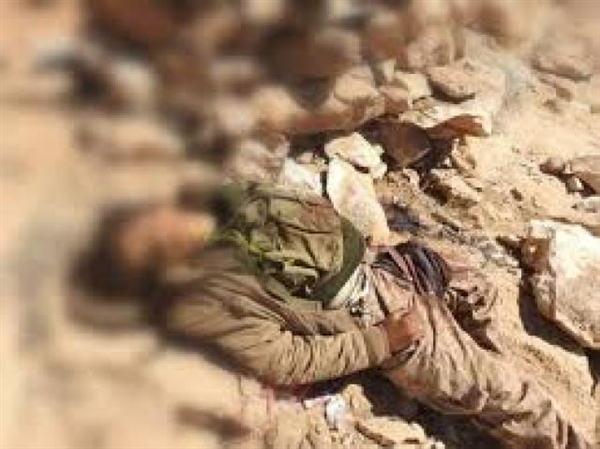 مصرع نحو 800 عنصر حوثي بنيران الجيش خلال أقل من شهر