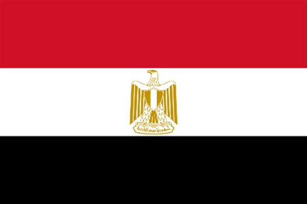مصر تدين التصعيد الحوثي على مأرب وتدعو إلى وقف إطلاق نار شامل في اليمن