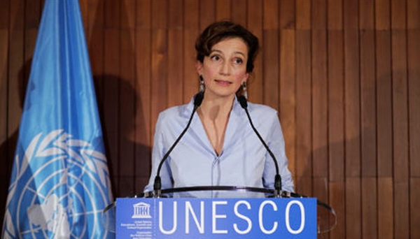 UNESCO'dan gazetecinin öldürülmesine kınama