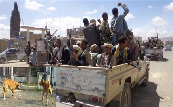 Köpek sebebiyle bir genci öldürüp kardeşini yaraladılar