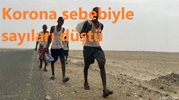 Korona sebebiyle Afrika’dan Yemen’e gelen göçmenlerin sayısı düştü