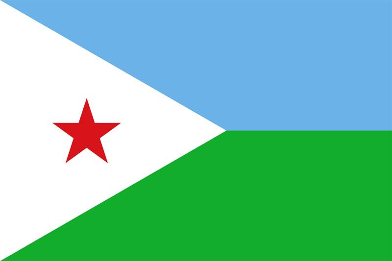 جيبوتي ترحب بقرار تصنيف مليشيات الحوثي منظمة "إرهابية" وتؤكد: خطوة مهمة